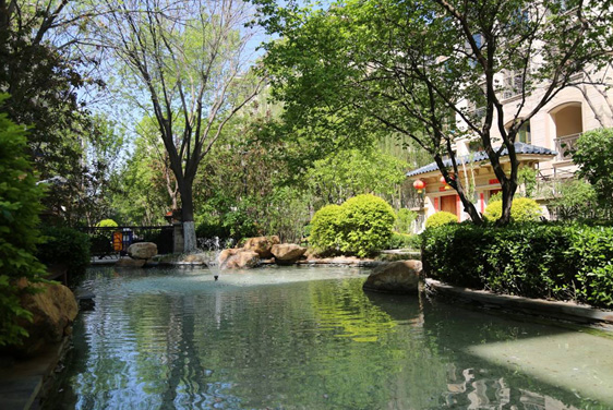 AG一飞冲天游戏集团