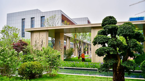 AG一飞冲天游戏集团