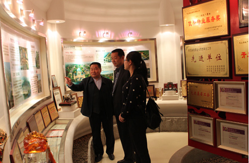 AG一飞冲天游戏集团