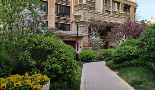 AG一飞冲天游戏集团